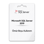 Microsoft Sql Server Standart
